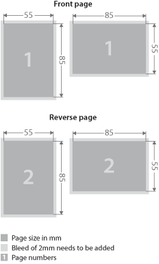Standards business card dimensions Business cards layout