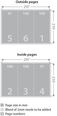 Leaflet layout